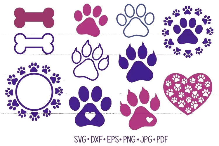 Animal Paw Prints Coloring Cat And Dog Coloring Made By Teachers