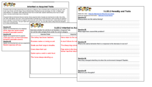 3rd Grade Inherited vs Acquired Traits 3.LS3.2 Activities | Made By ...