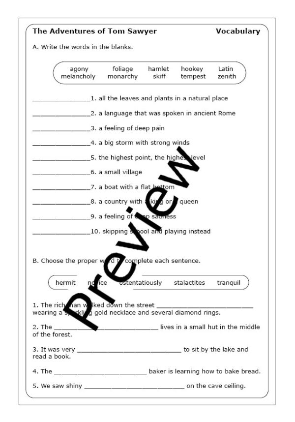 the-adventures-of-tom-sawyer-worksheets-made-by-teachers