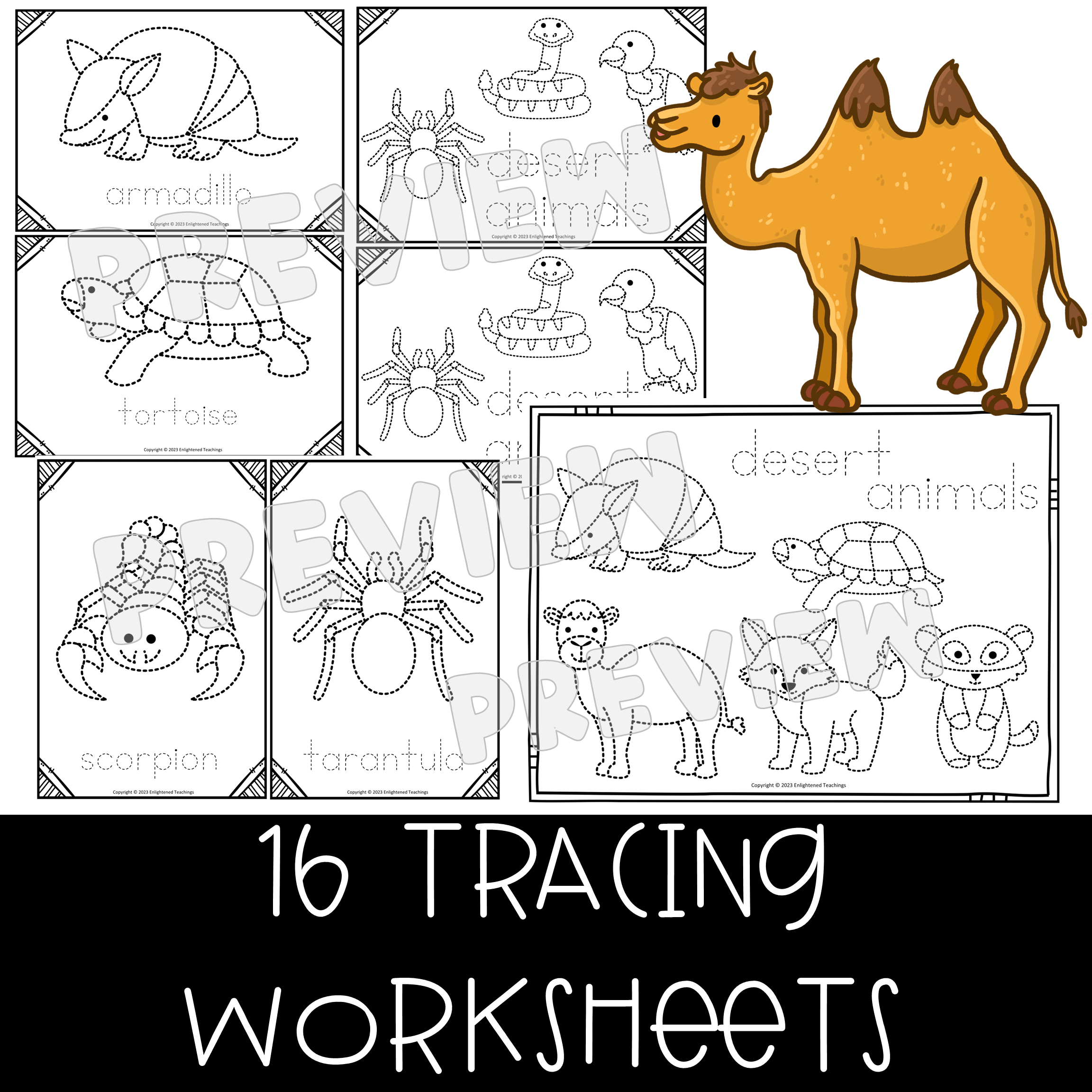 Desert Animals Tracing Worksheets Fine Motor Activity Tracing