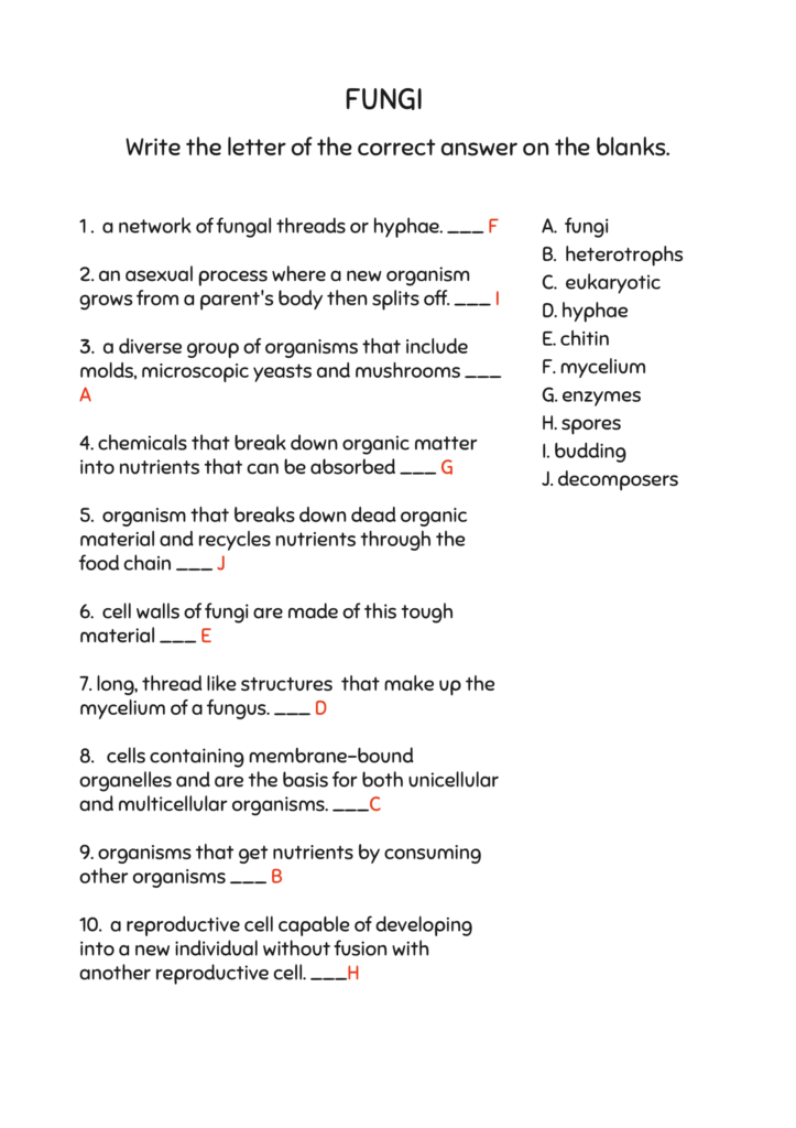 Explore the World of Microbiology Fun and Educational Worksheets for