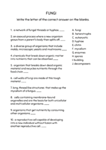 Explore the World of Microbiology: Fun and Educational Worksheets for ...