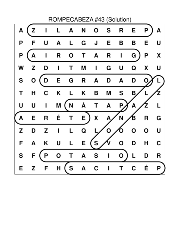 Discover Spanish Vocabulary with Fun Word Search Workbook Perfect for