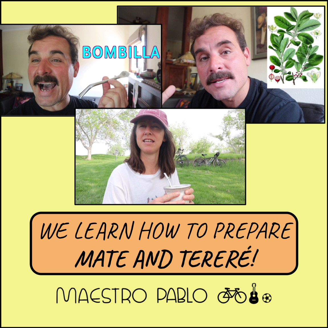 Yerba Mate Hispanic Culture Video Lesson and Printable Worksheets