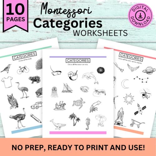 Categories Worksheets, Visual Differentiation, Sorting Activity