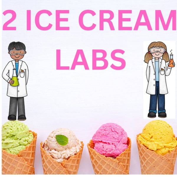 Chemistry Ice cream labs freezer bags Colloids, Activation Energy High