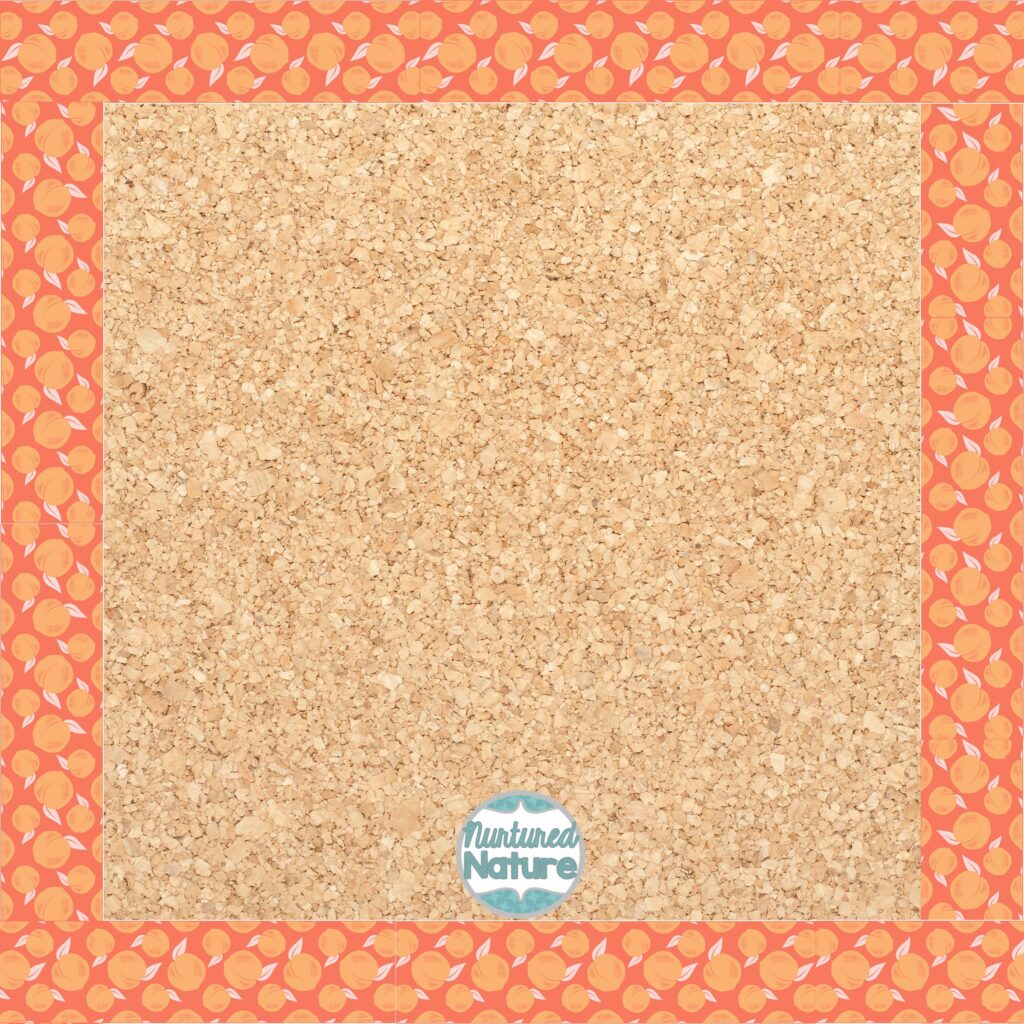 Peaches Bulletin Board Border Printable Farmhouse Classroom Decor