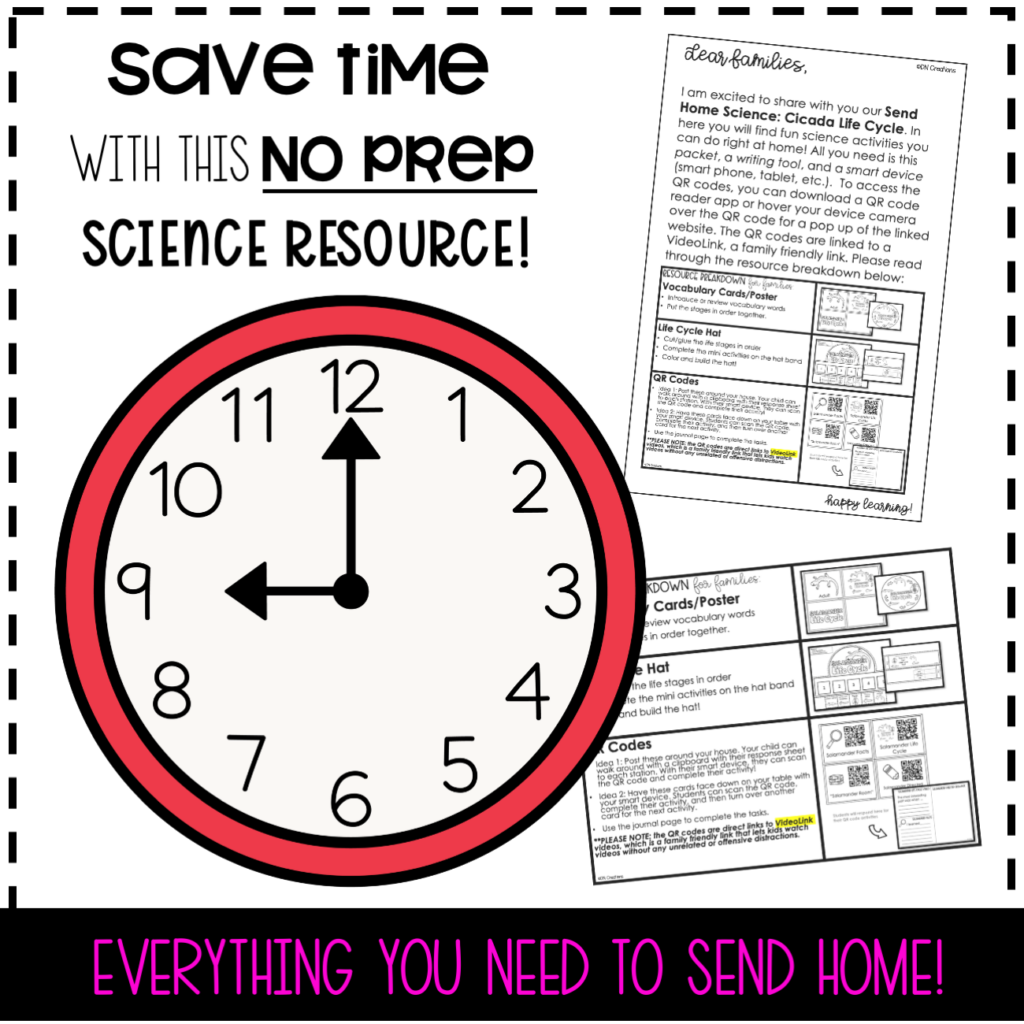 Send HOME Science Giraffe Life Cycle All about Giraffes Giraffe