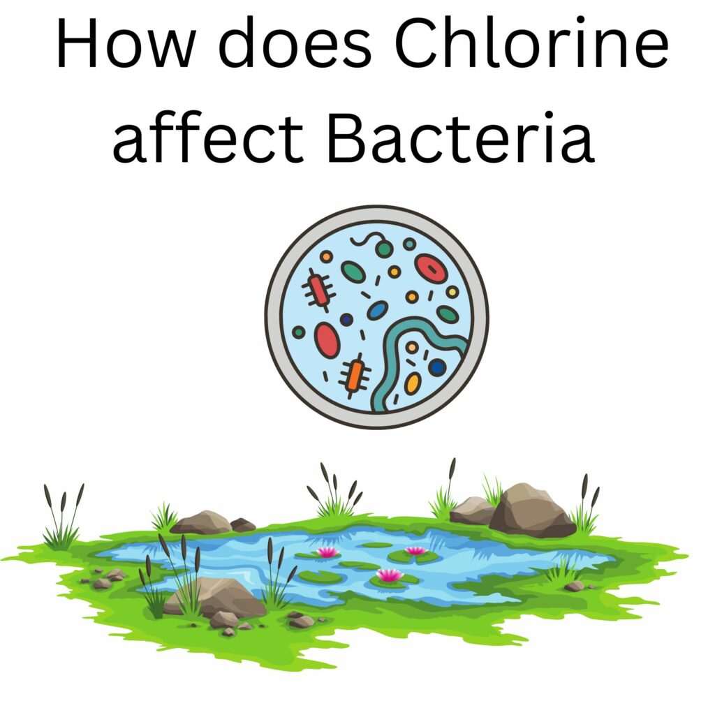 Environment Lab How and why to keep our waters clean Made By Teachers