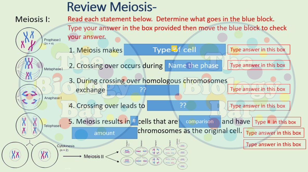 Meiosis Genetic Variation Build a Bird Interactive PPT Biology Diagrams