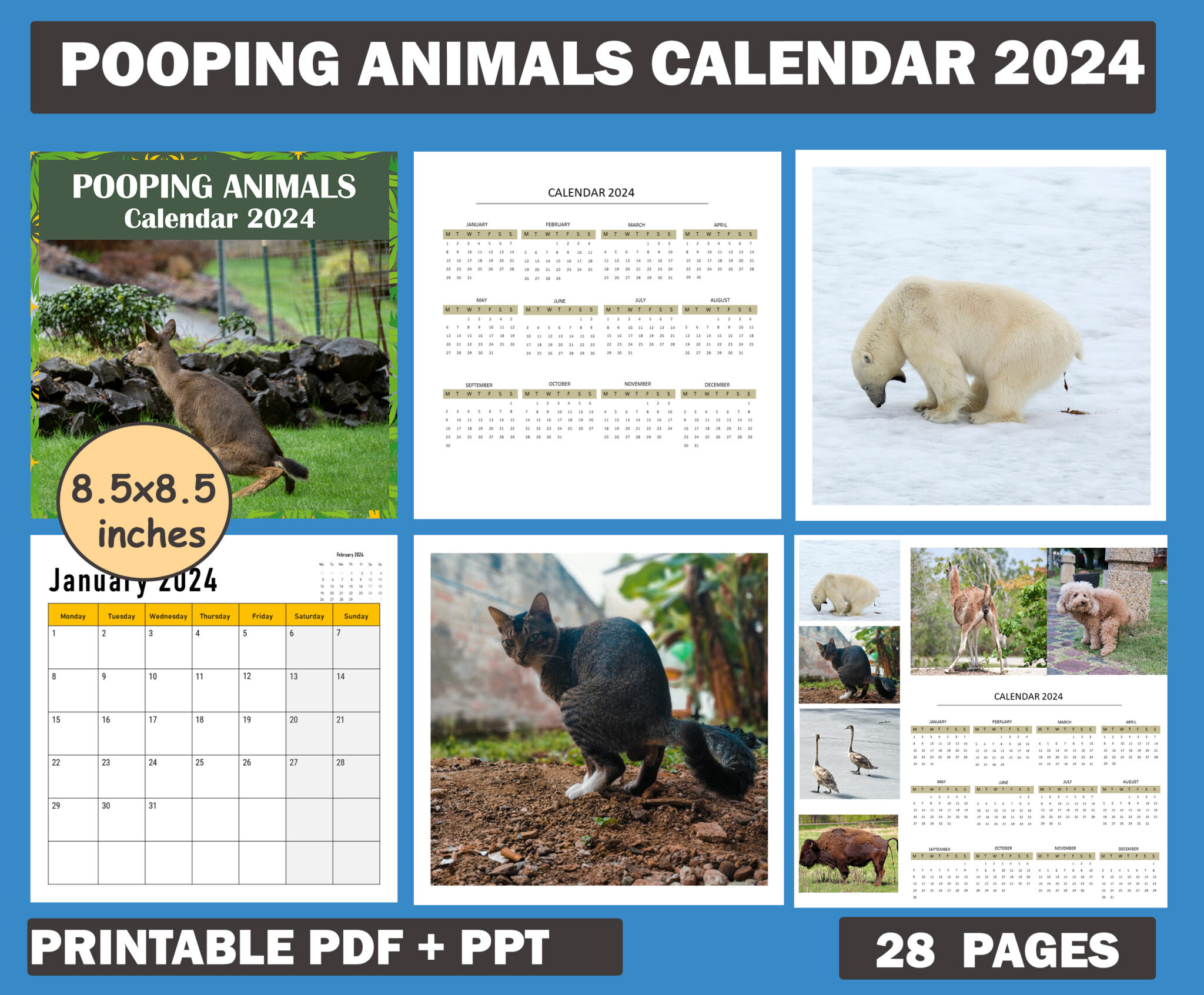 Animals Pooping Calendar 2024 Monthly Calendar Featuring Funny