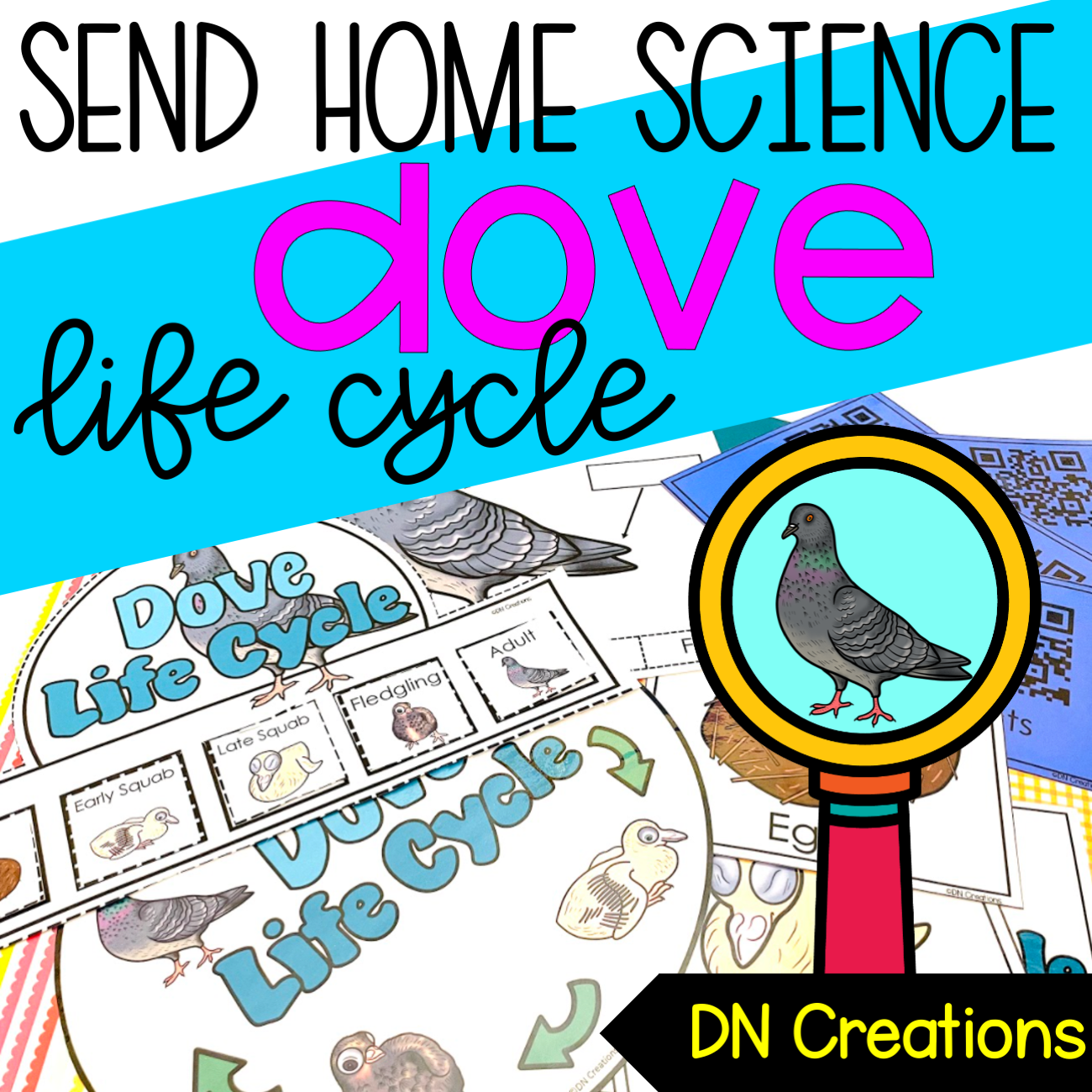 Send HOME Science Dove Life Cycle l All about Birds l Bird Science Unit