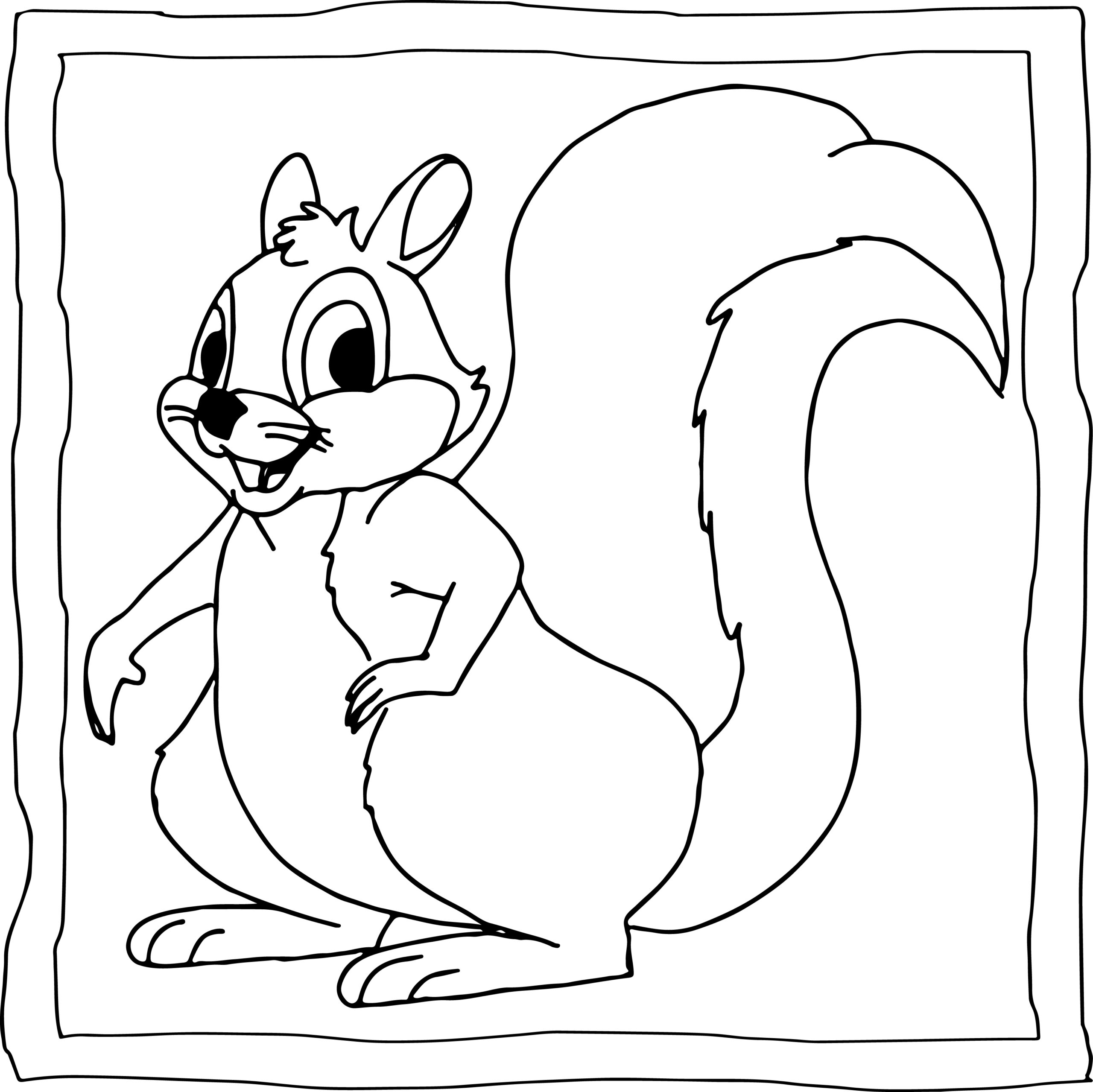 Squirrel Coloring Book : Easy and Fun Squirrels Coloring Pages for Kids ...