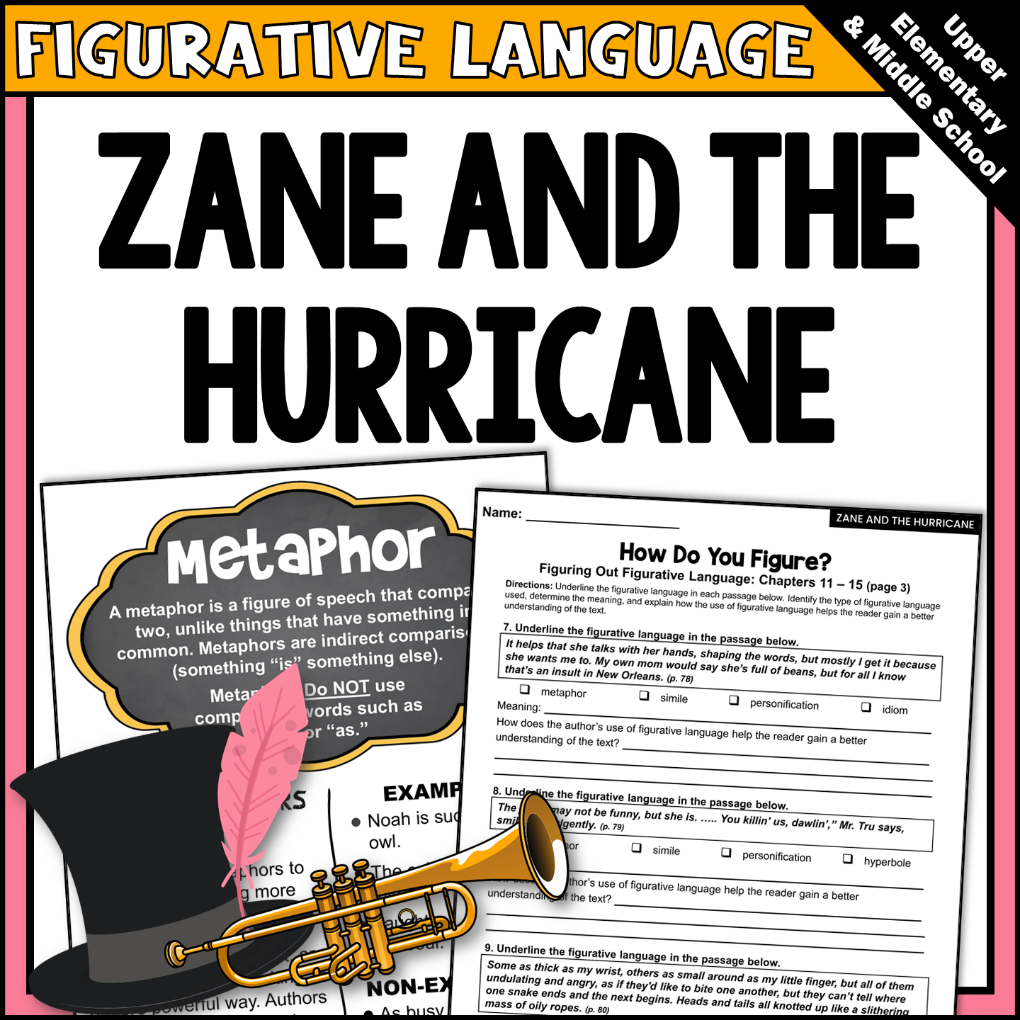 Zane and the Hurricane Novel Study Figurative Language Activities