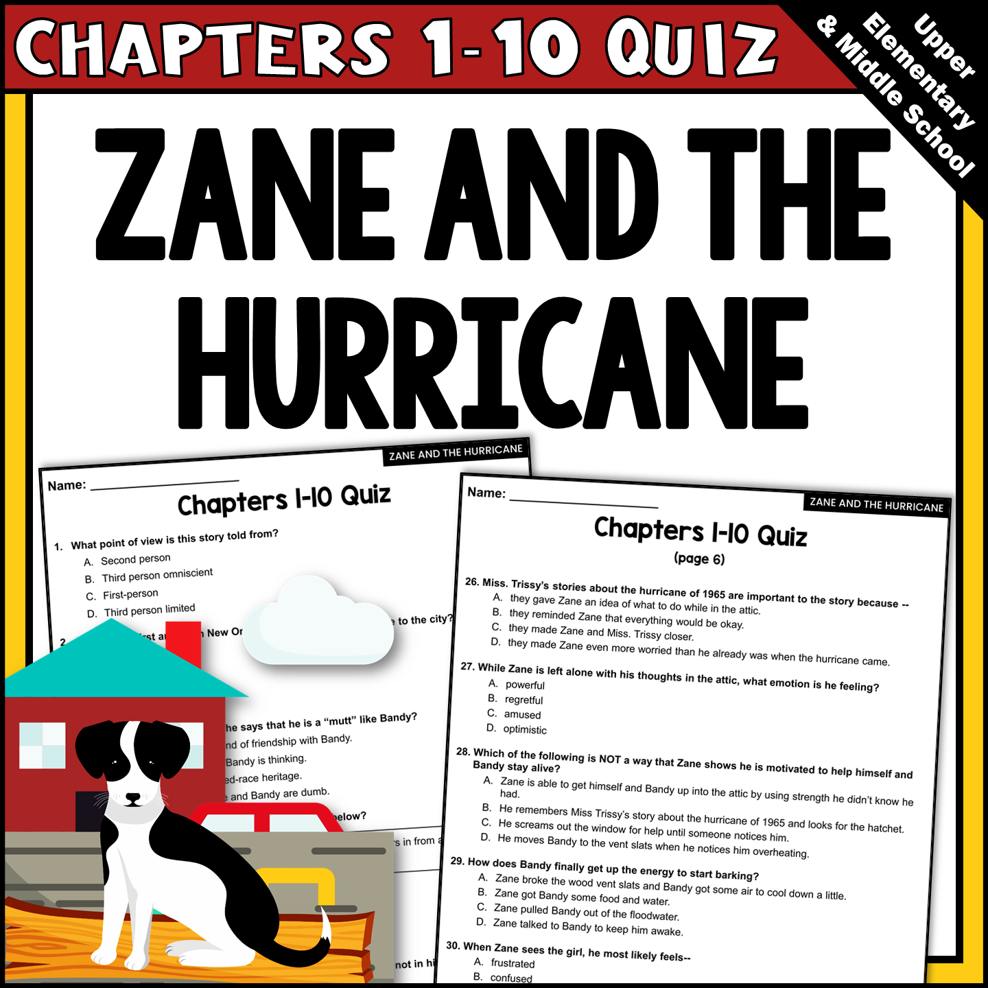 Zane and the Hurricane Novel Study Quiz for Chapters 1-10