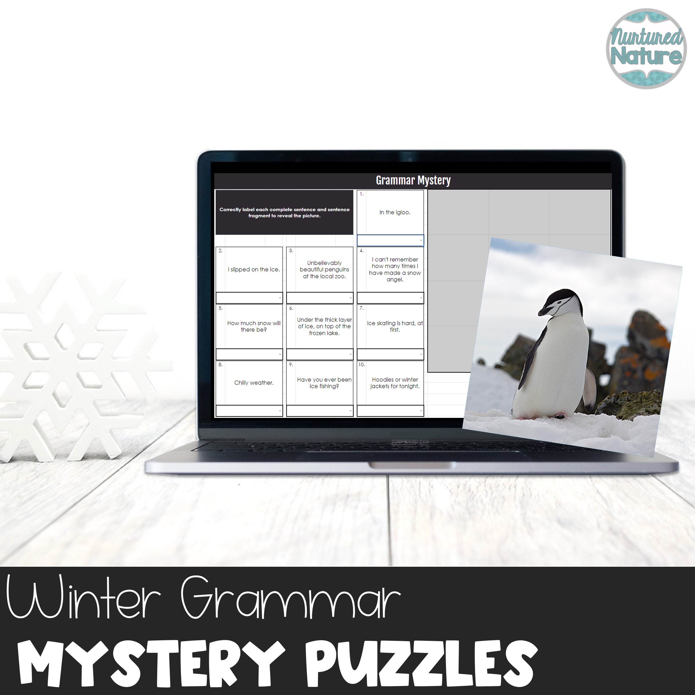 Winter Grammar Pixel Art Puzzles Conjunctions Plural Possessive Homophones