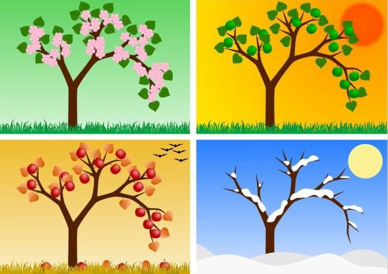 Bonjour, Saisons! Learn the Seasons in French with Flashcards - Made By ...