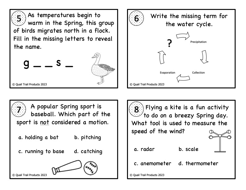 Grade 3 Springtime Science Task Cards | Made By Teachers