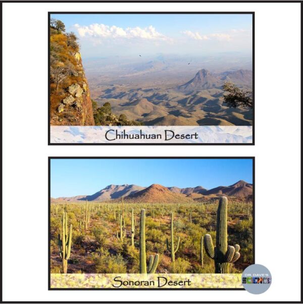 Deserts Posters Habitat Land Biomes Made By Teachers