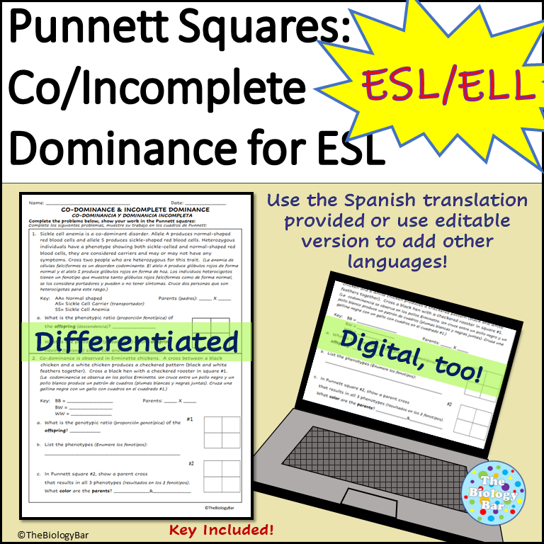 ESL Biology Prokaryote vs Eukaryote Cell Worksheet | Made By Teachers