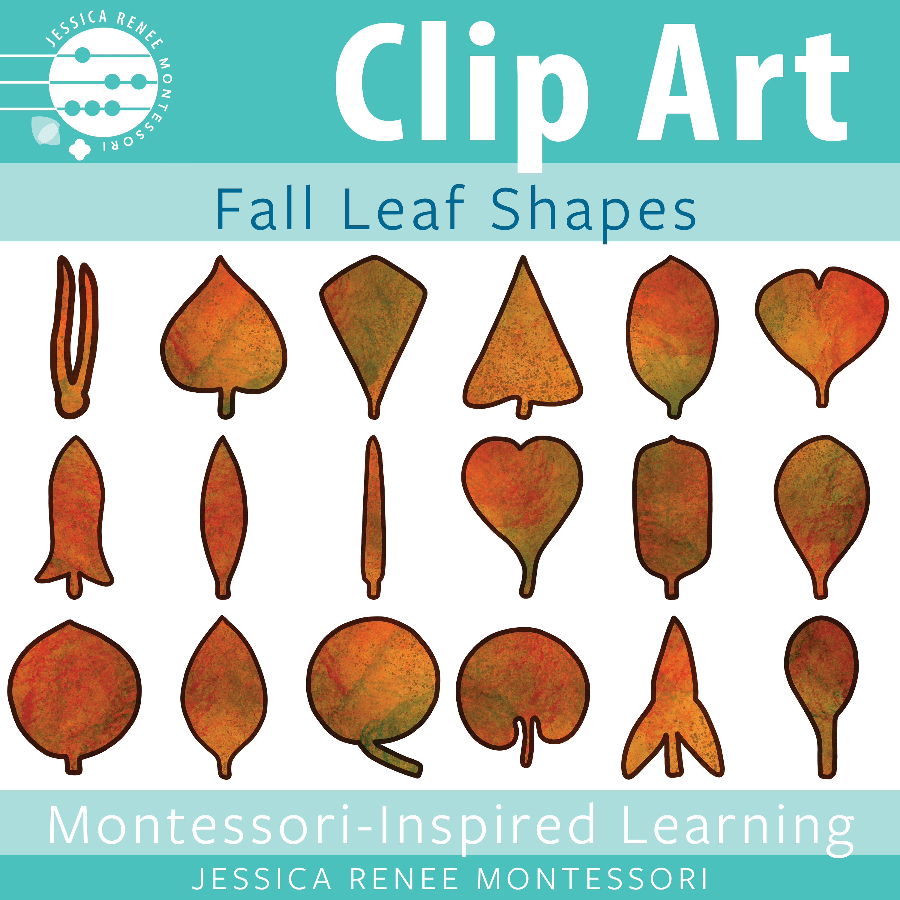 Montessori Fall Leaves Clip Art, Botany Cabinet Clip Art, Autumn Seasons Work