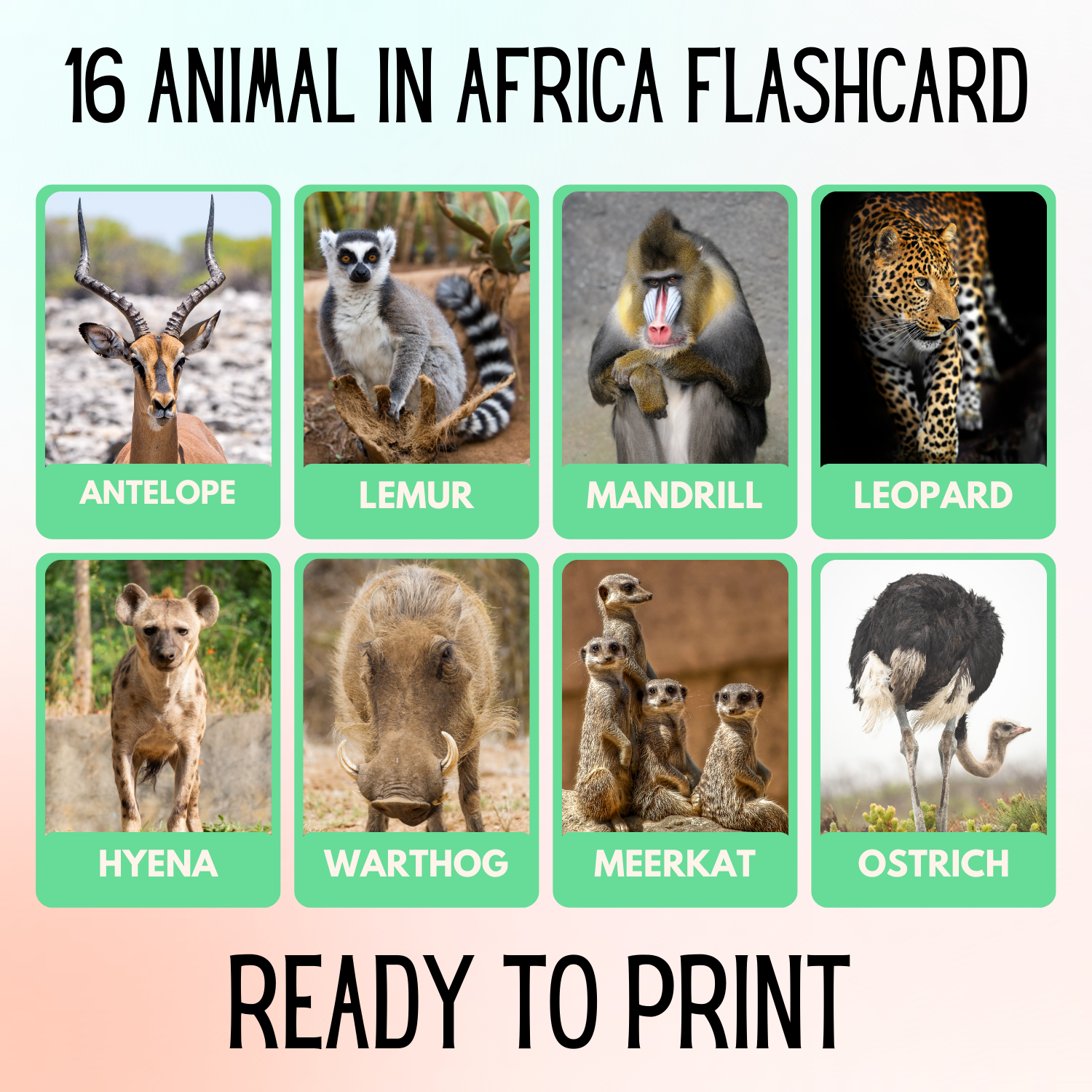 16 Animal in Africa Educational Printables Flashcards Educational ...