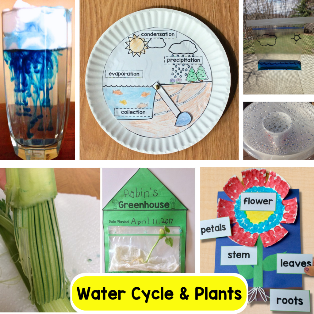 Science Experiments & STEM Activities Year Long Bundle Easy & Fun ...
