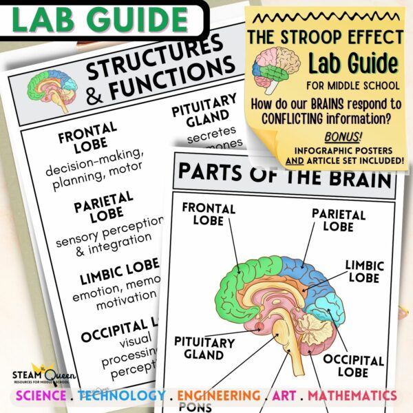 The Stroop Effect: A Fun and Engaging Nervous System Lab Guide for ...
