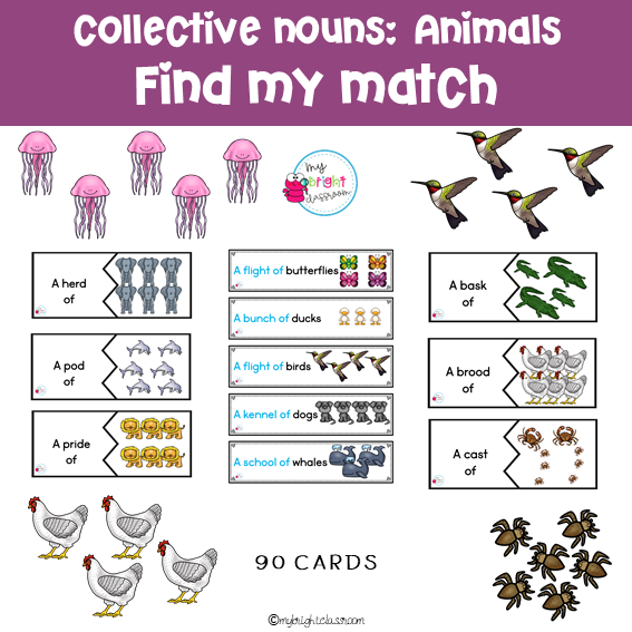 Animal Collective Nouns Explained | Engaging Activities and Resources