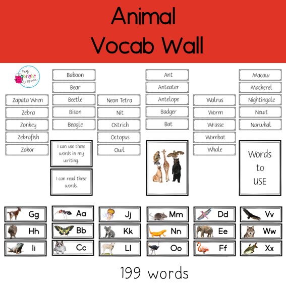 Animal Vocabulary Word Wall | Alphabetical Display