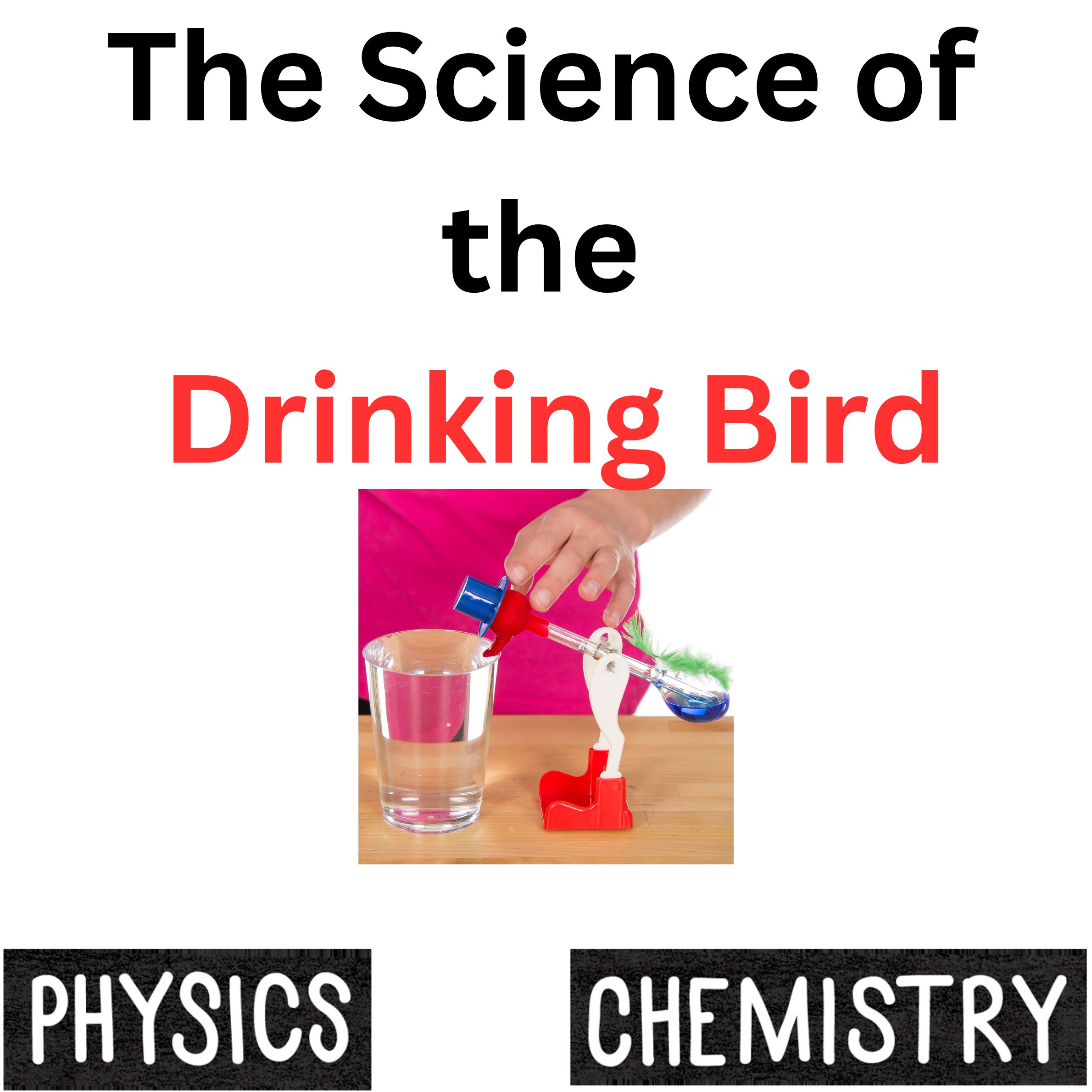Chemistry and Physics Thermodynamic Bird lab High School