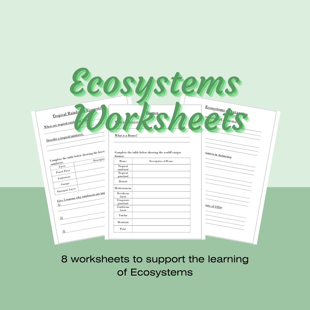 Geography Ecosystems Worksheets