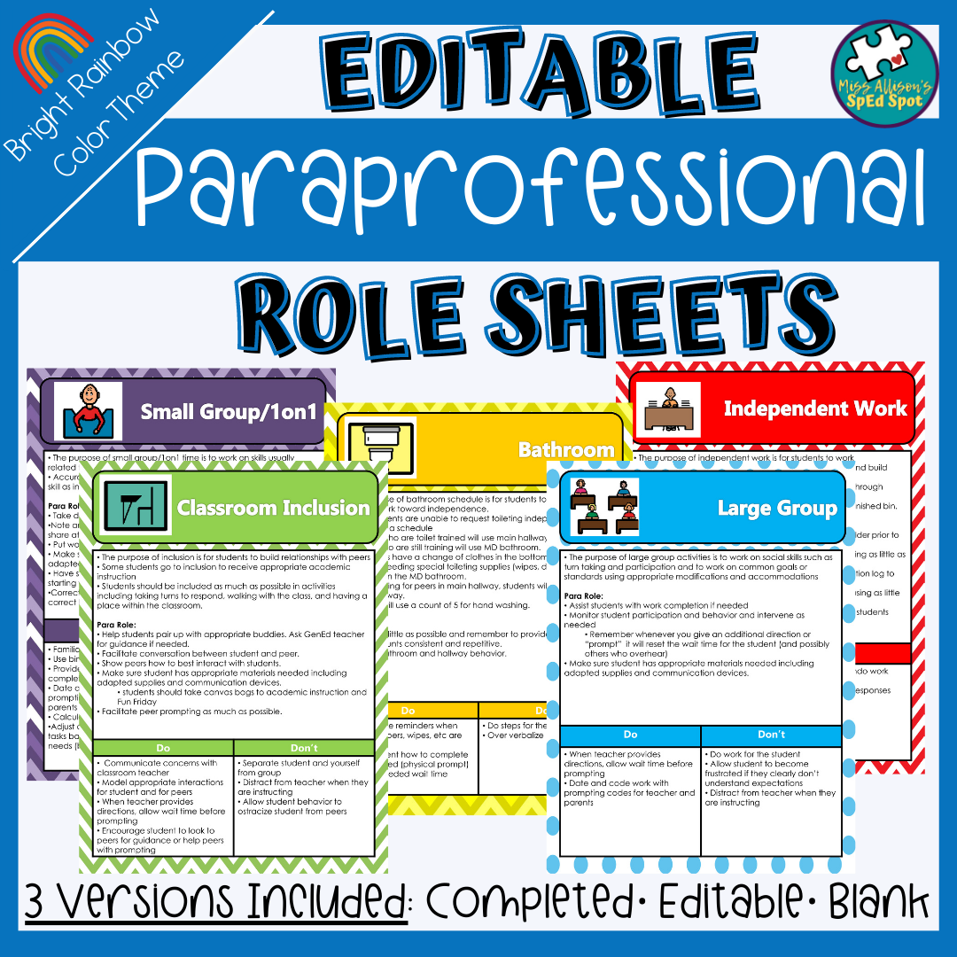 EDITABLE Paraprofessional Role Sheets Bright Rainbow Theme