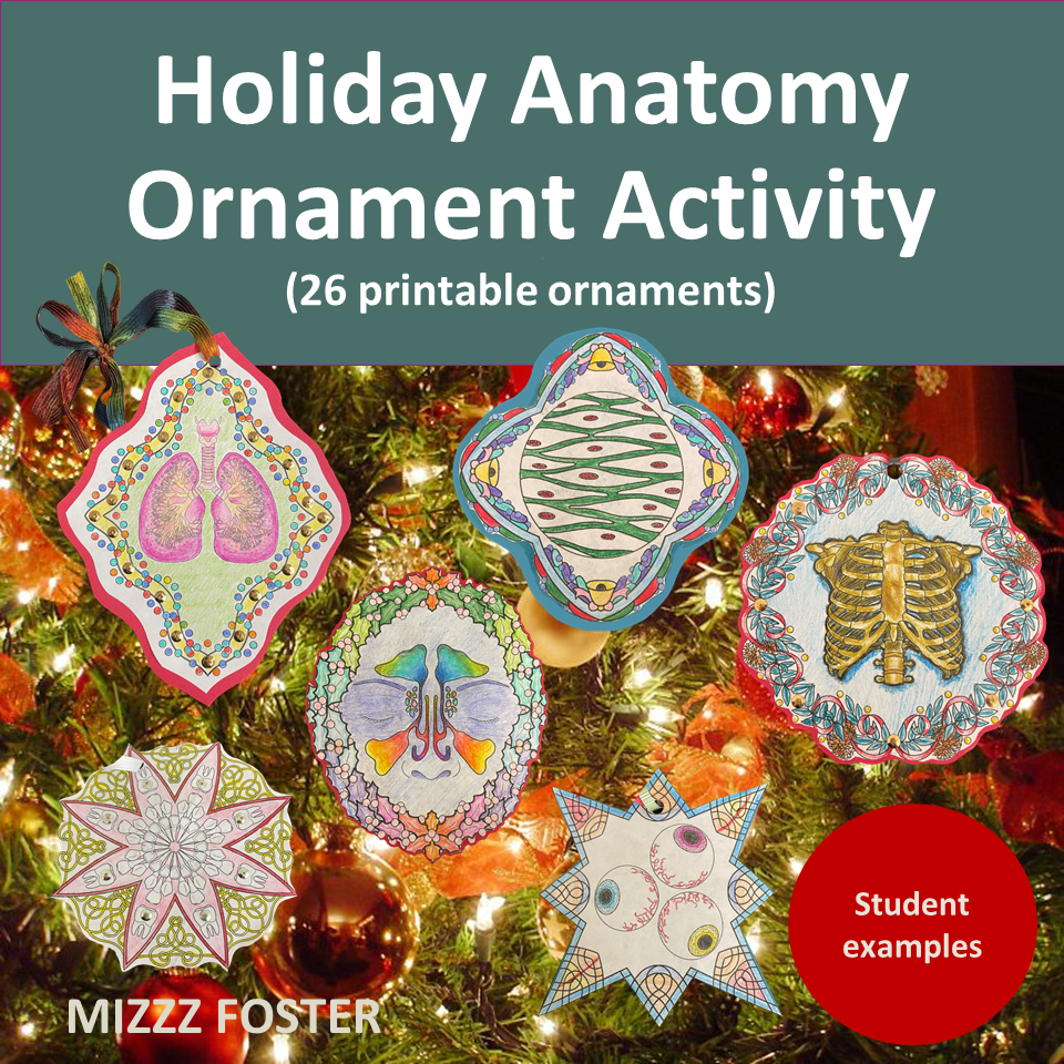 Holiday Anatomy & Physiology / Health / Biology Ornaments (26 unique sheets) Made By Teachers