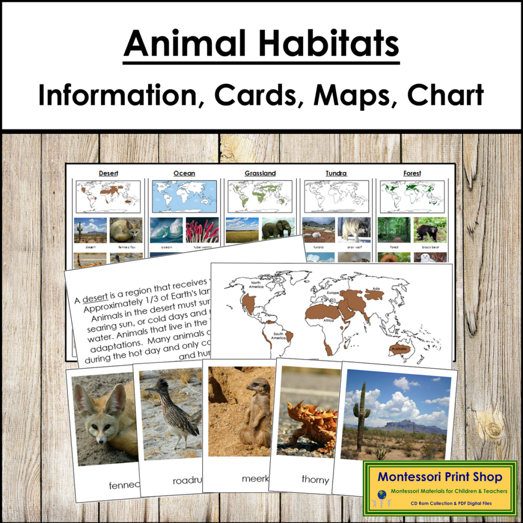 Animals and Their Habitats - Sorting Cards & Maps | Made By Teachers