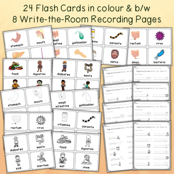 Human Body Digestive System Vocabulary Activities Write the Room and ...