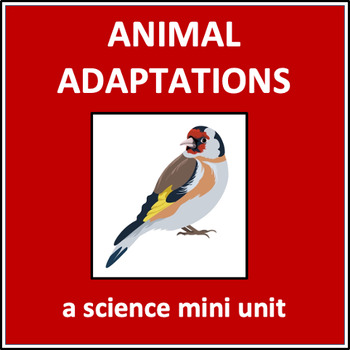 Animal Adaptations - a science mini unit