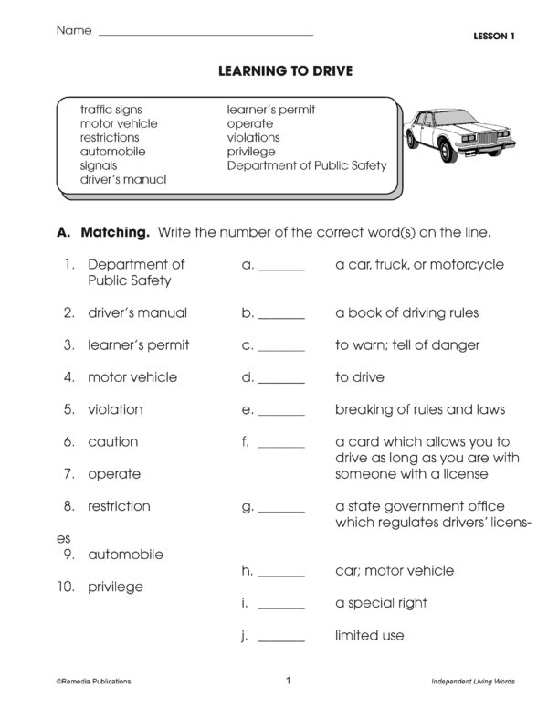 Learning to Drive Life Skills Unit | Made By Teachers