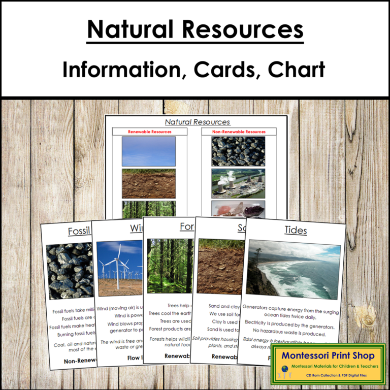Natural Resources Information, Sorting Cards & Control Chart - Made By ...