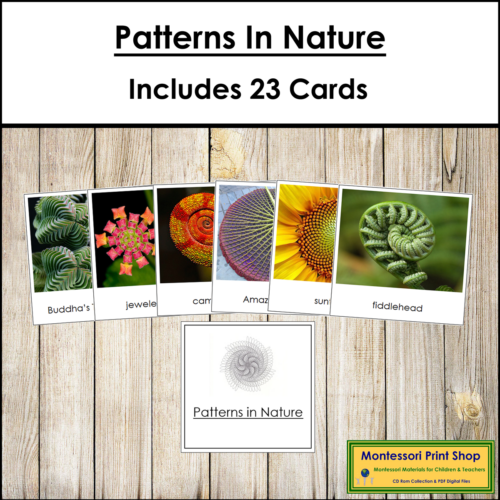 Description Pattern Patterns in Nature Cards - Primary Montessori Sensorial and Geometry ...