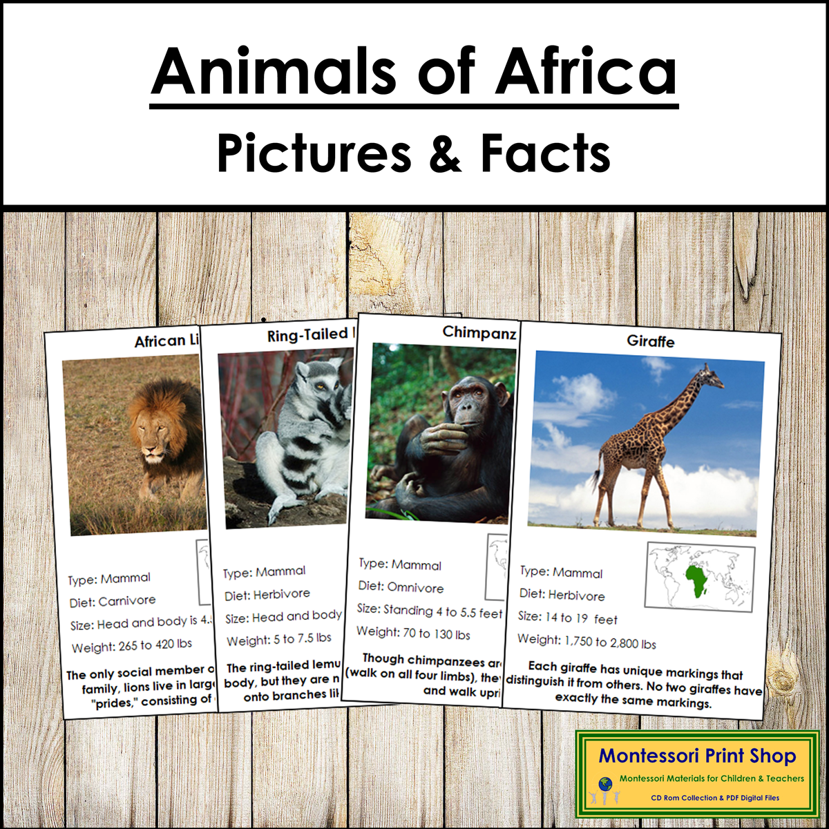 Animals of Africa Pictures & Facts (Montessori color-code)