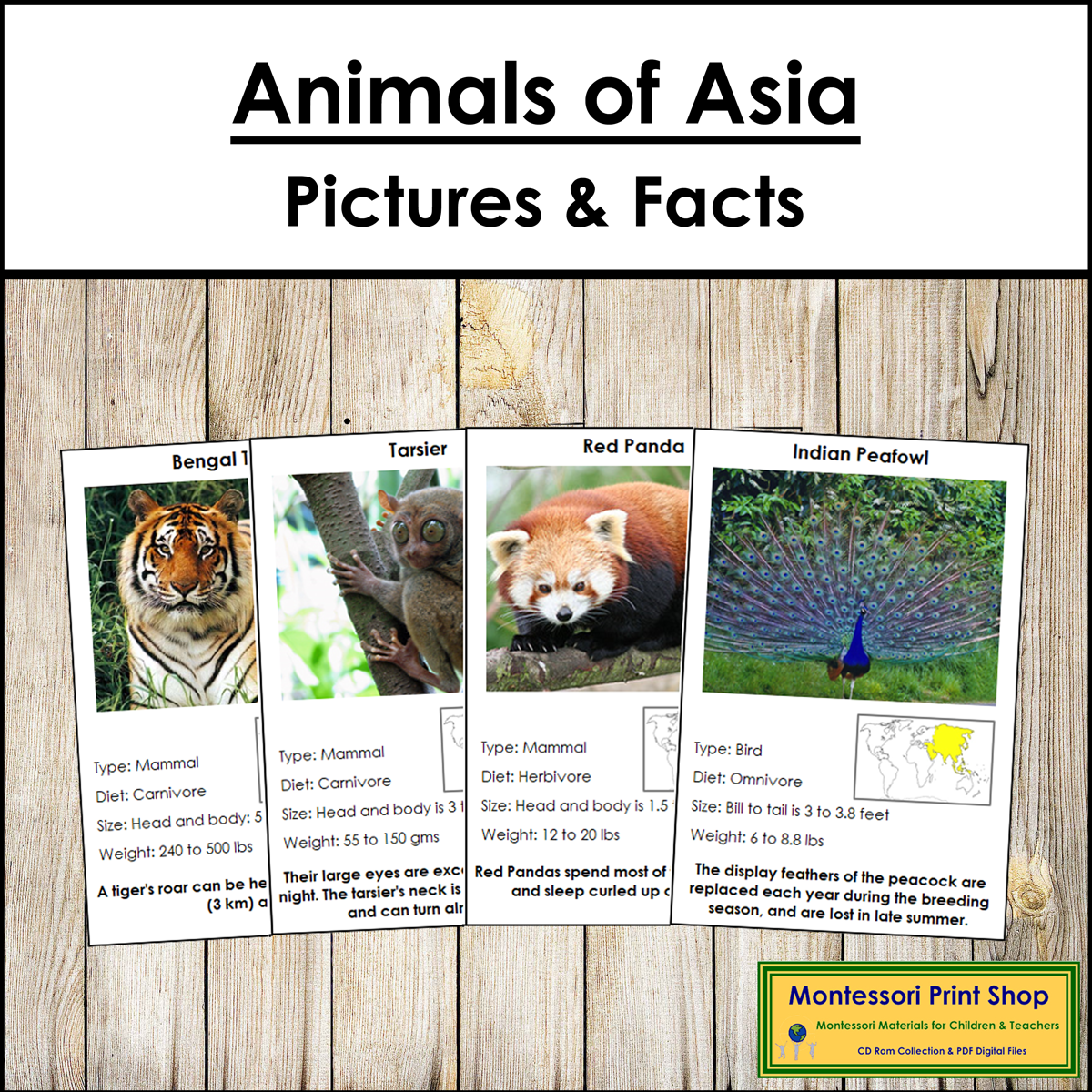 Animals of Asia Pictures & Facts (Montessori color-code)