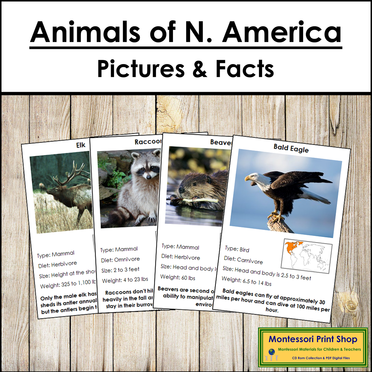 Animals of North America Pictures & Facts (Montessori color-code)
