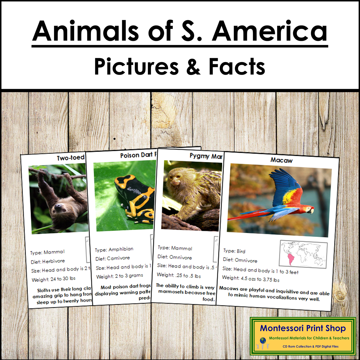 Animals of South America Pictures & Facts (Montessori color-code)
