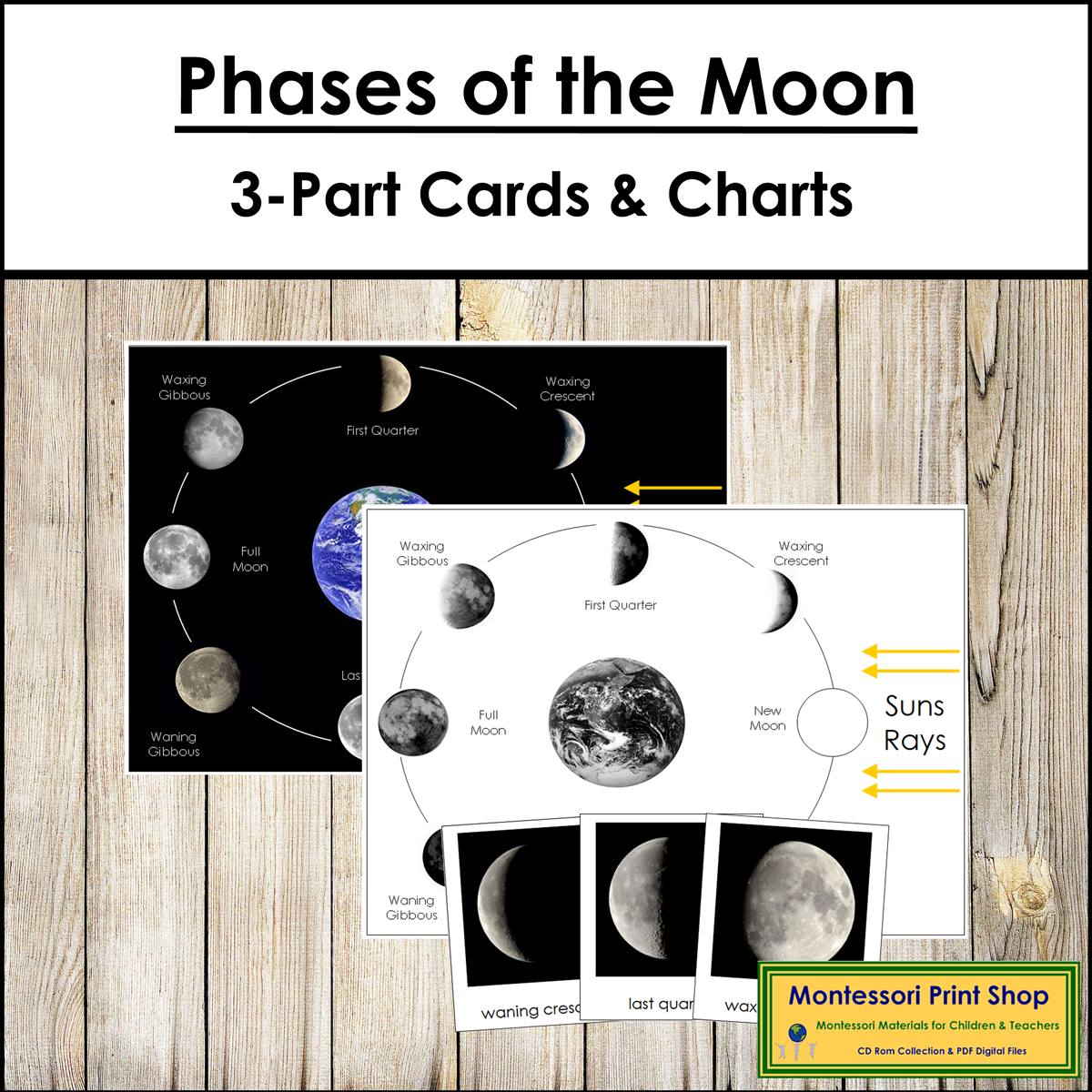Phases of the Moon 3-Part Cards & Charts
