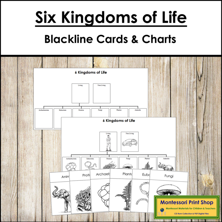 Six Kingdoms of Life Cards & Charts - Blackline Masters | Made By Teachers