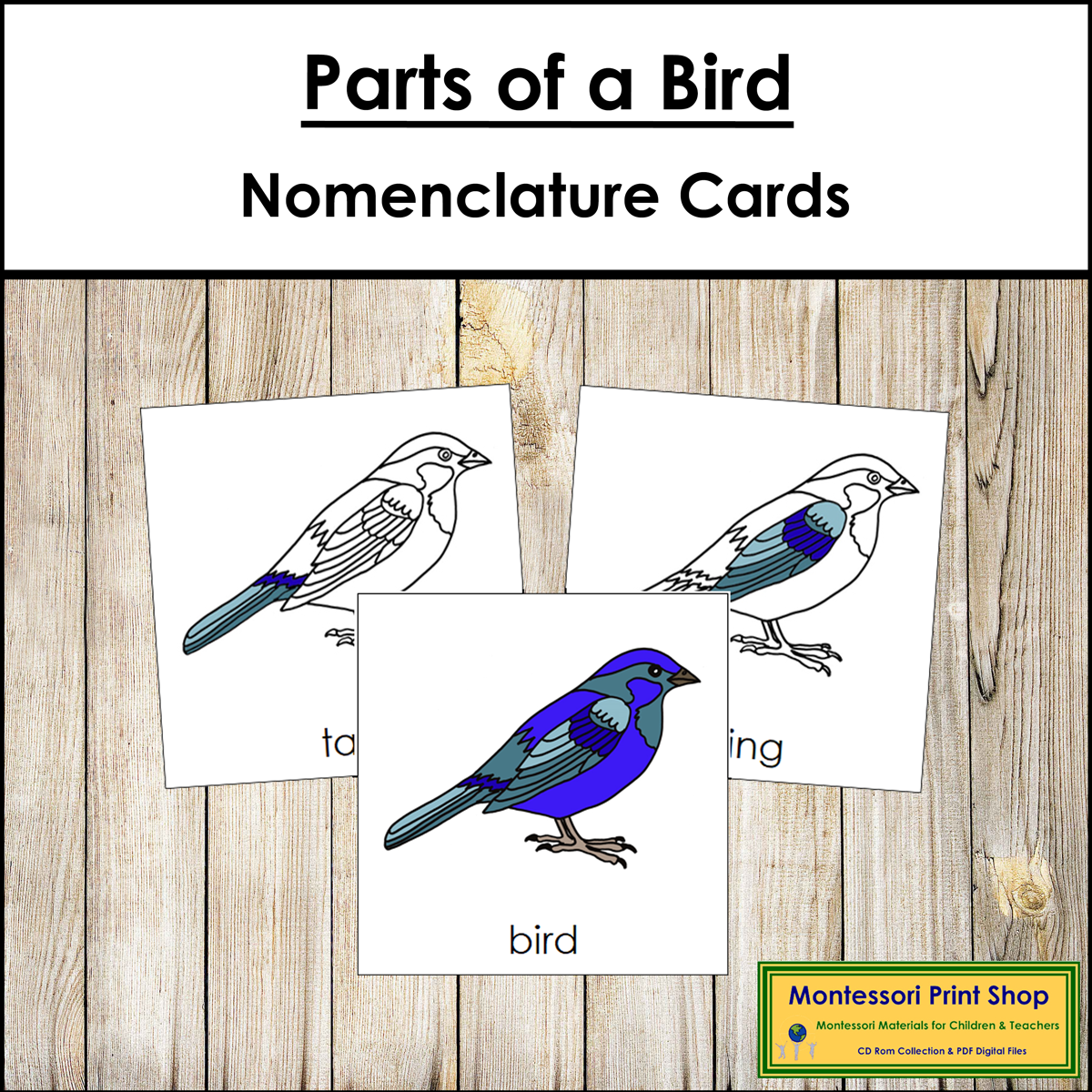 Types of Butterflies - Montessori 3-Part Cards - Vocabulary, ESL | Made ...
