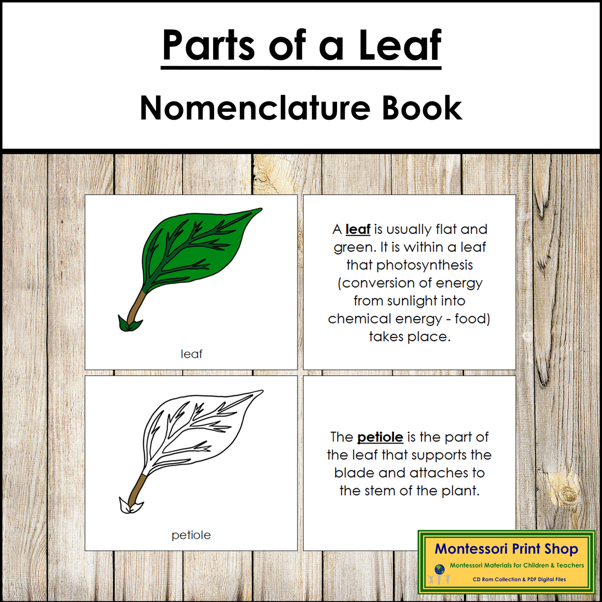 Parts of a Leaf Book - Montessori Nomenclature