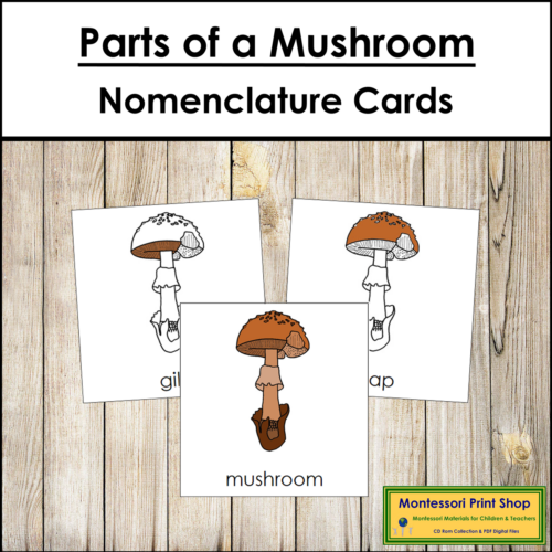 Parts of a Mushroom 3-Part Cards - Montessori Nomenclature - Made By ...