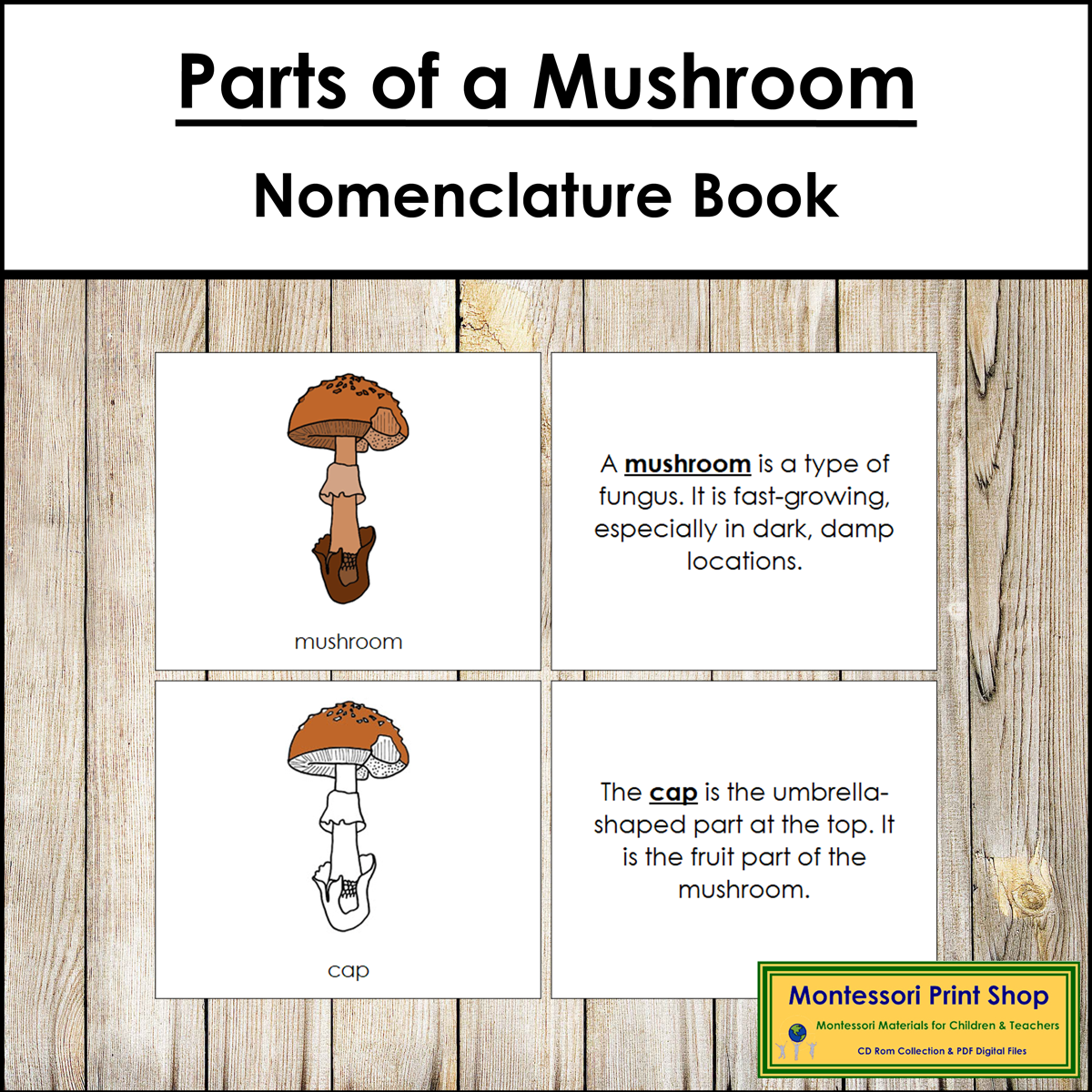 Parts of a Mushroom Book - Montessori Nomenclature